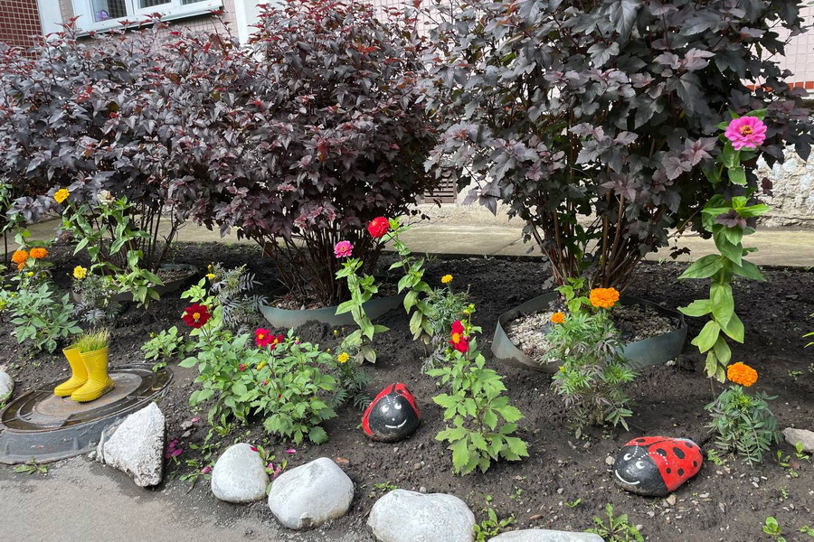 Двор детского сада №38