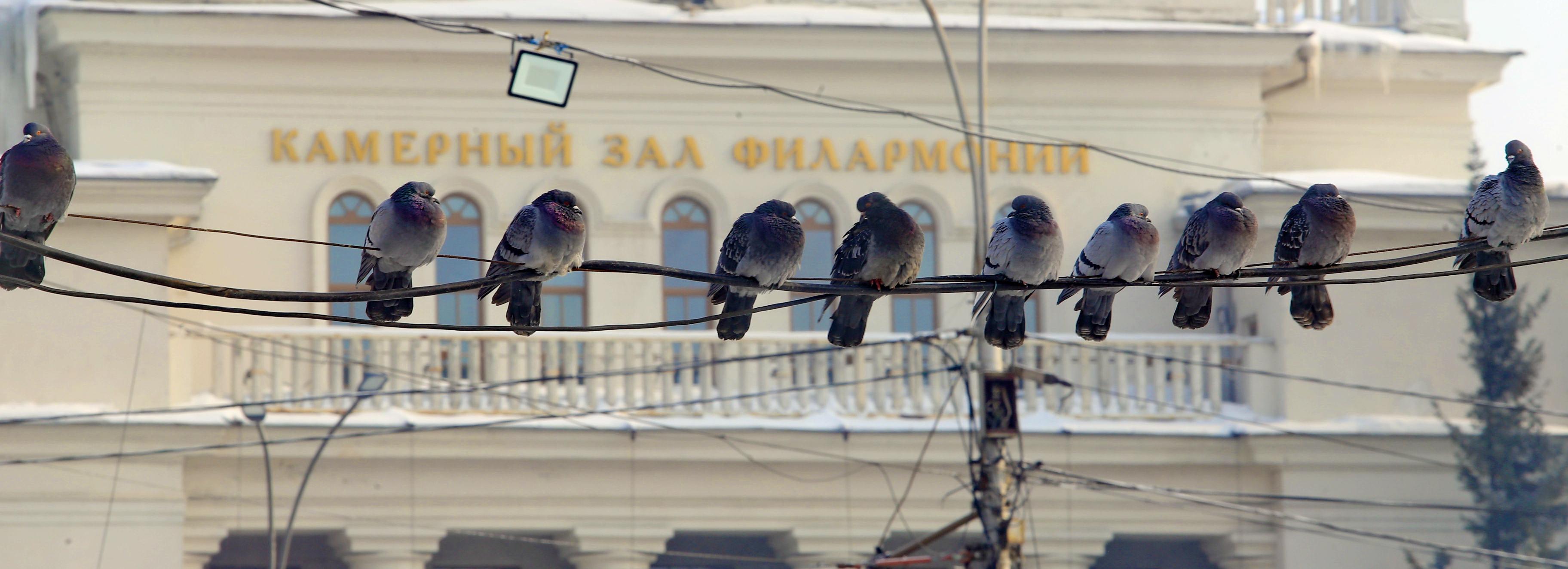 Афиша Новосибирска: куда сходить в понедельник, 6 октября