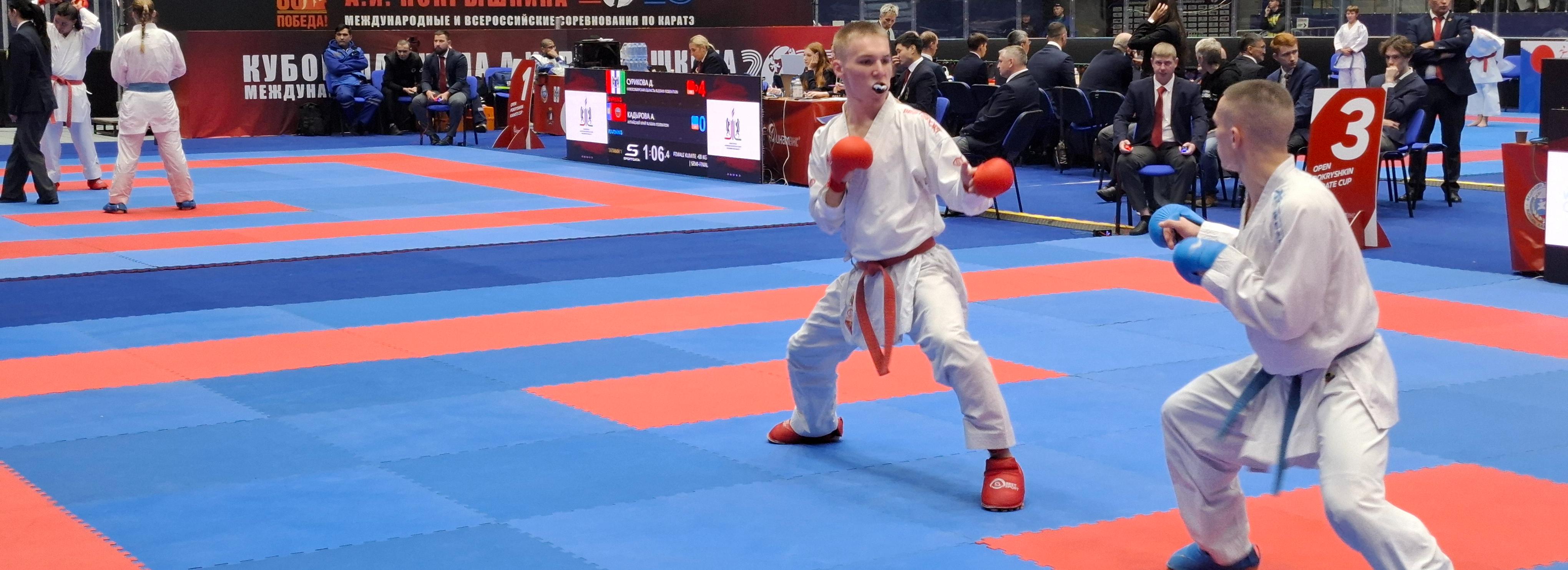 Созданный нейросетью Покрышкин поприветствовал каратистов в Новосибирске