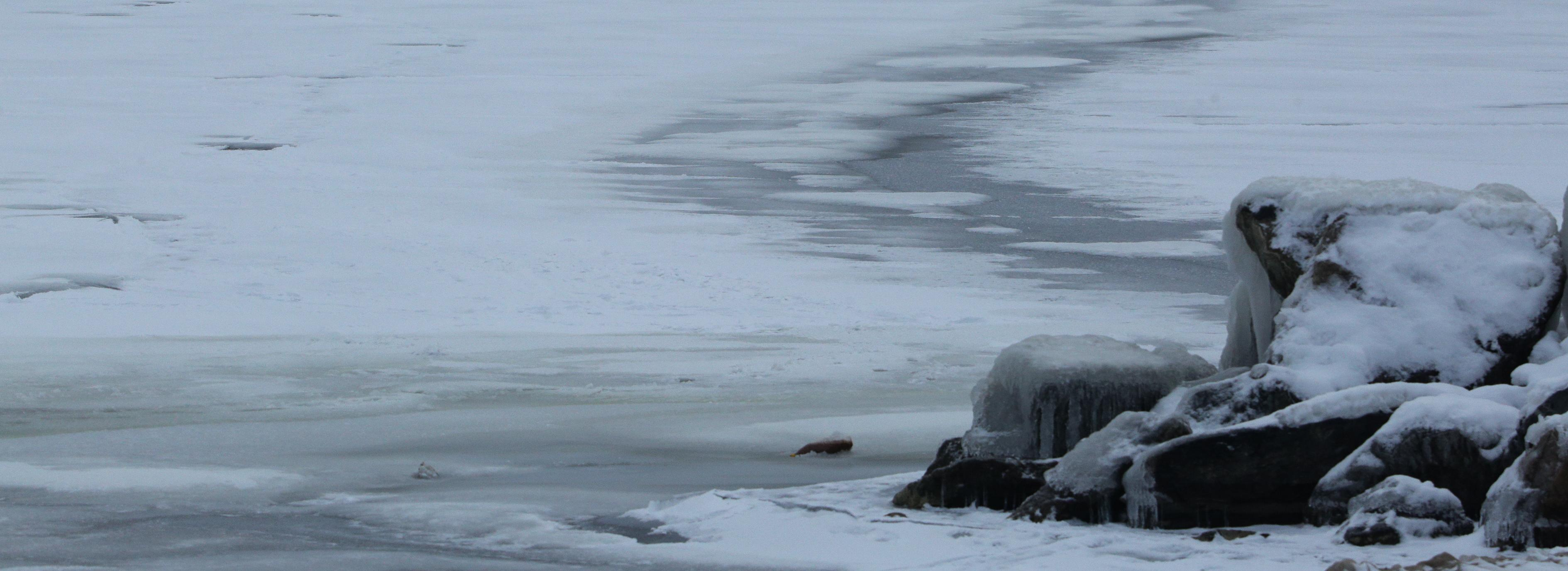 11-летняя девочка провалилась под лёд в Новосибирске