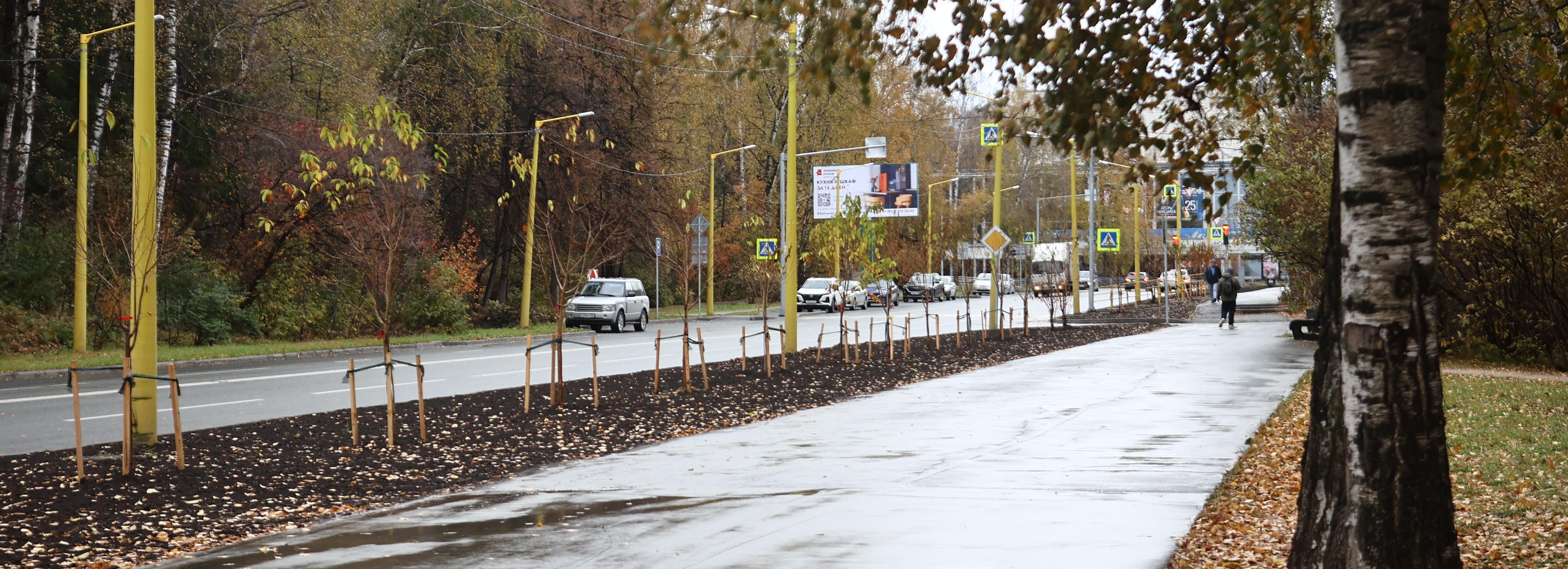 Яблони, ивы и черёмухи: 1346 деревьев и кустов украсили Советский район