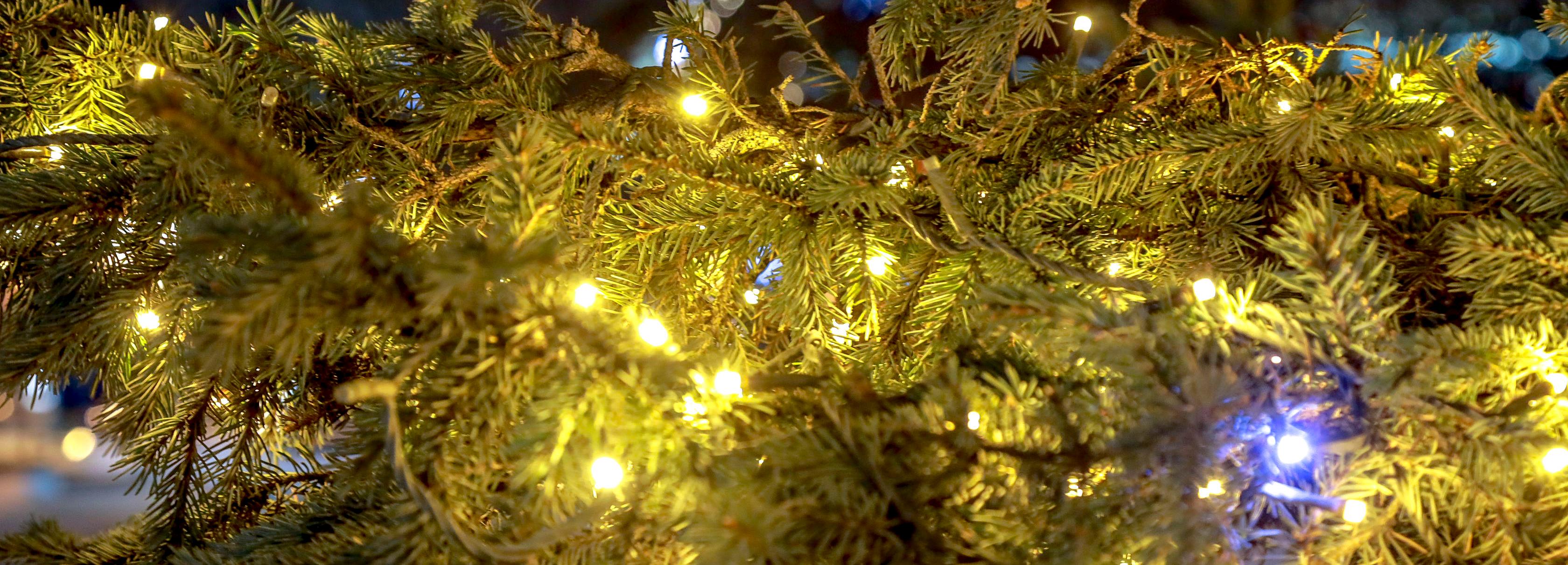 600-метровые гирлянды украсят Первомайский и Театральный скверы