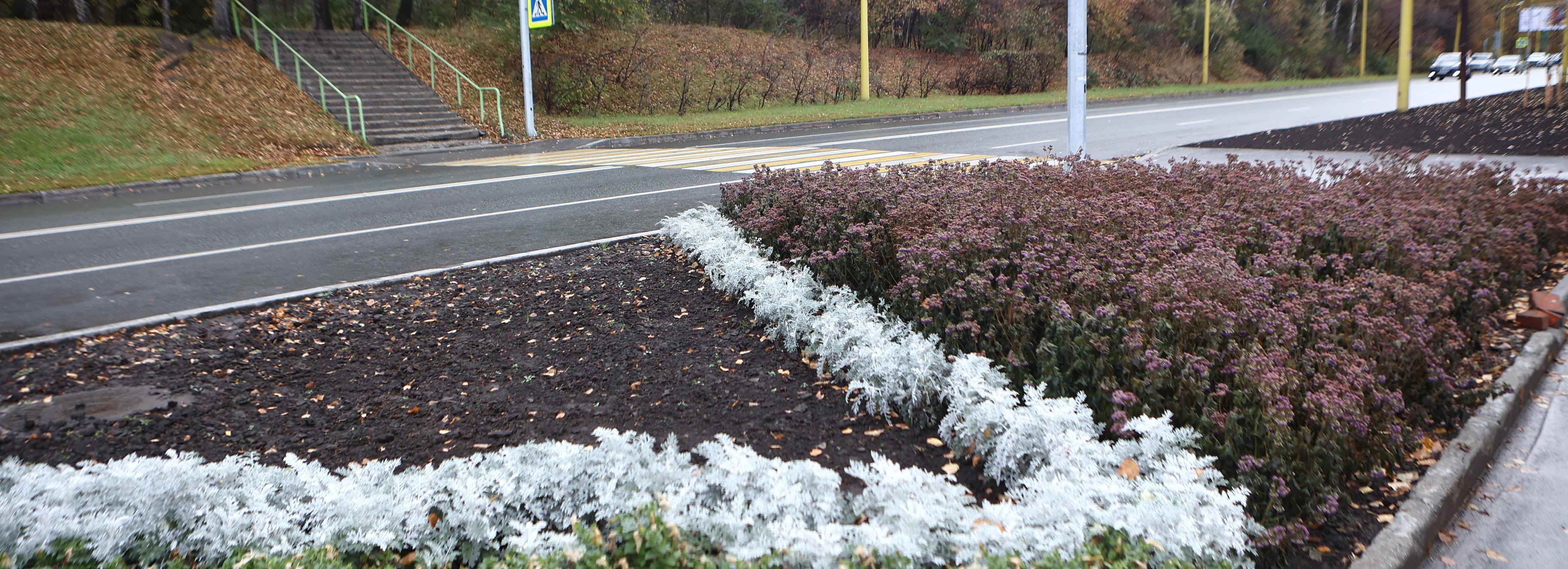 Зелёный авангард: 1100 деревьев и кустарников высадят в Советском районе