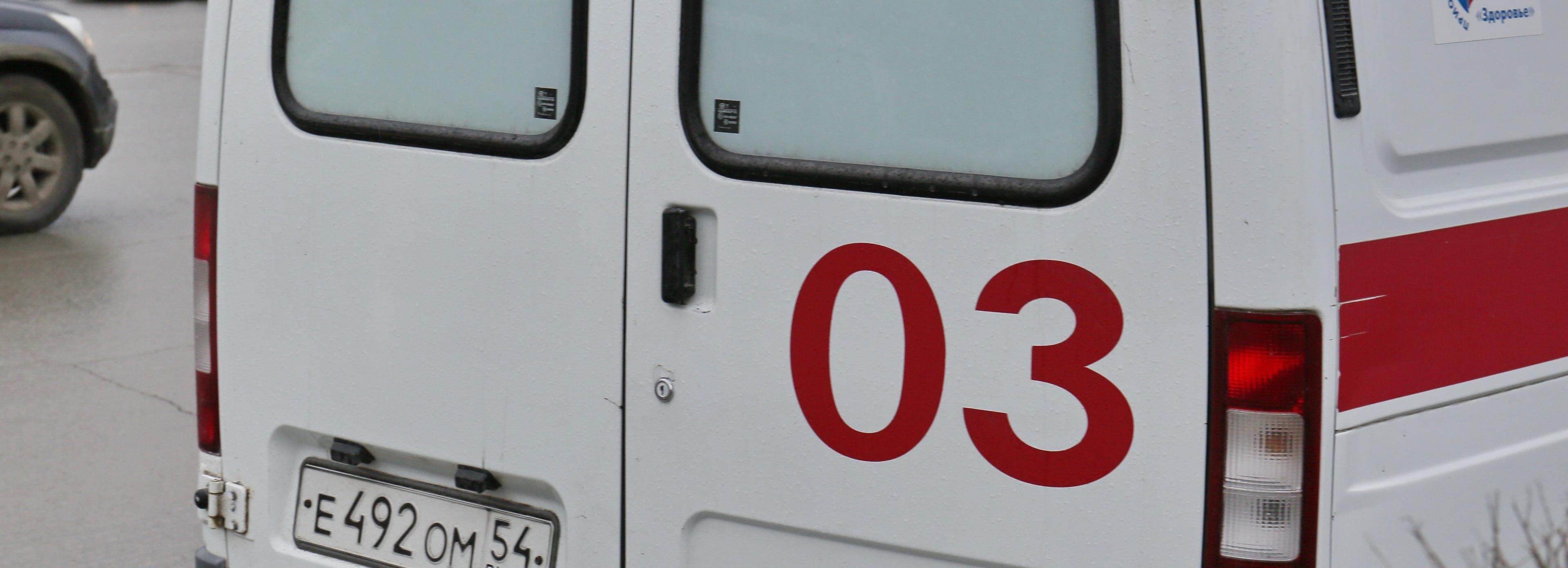 Штормовой ветер повалил деревья в Новосибирске: есть пострадавшие