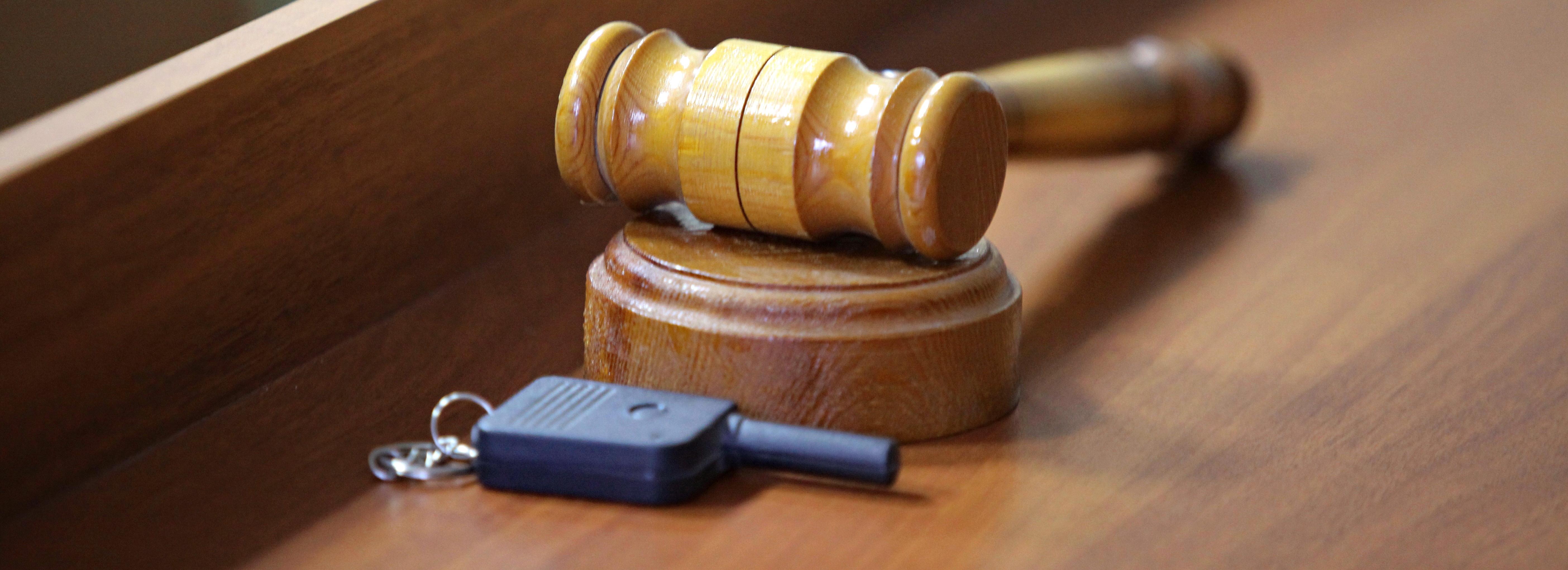 Объявлены аукционы на застройку городка учёных «СмартСити-Новосибирск»