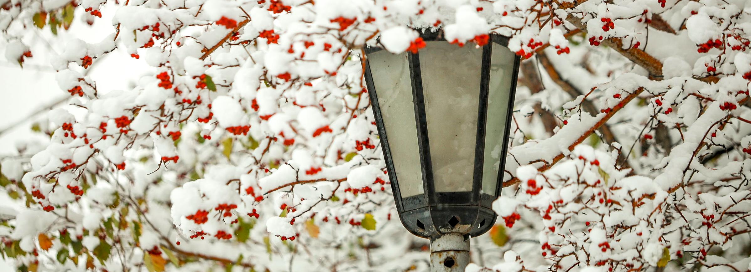 Зимнее волшебство в Новосибирске: атмосферные фото укрытого снегом города