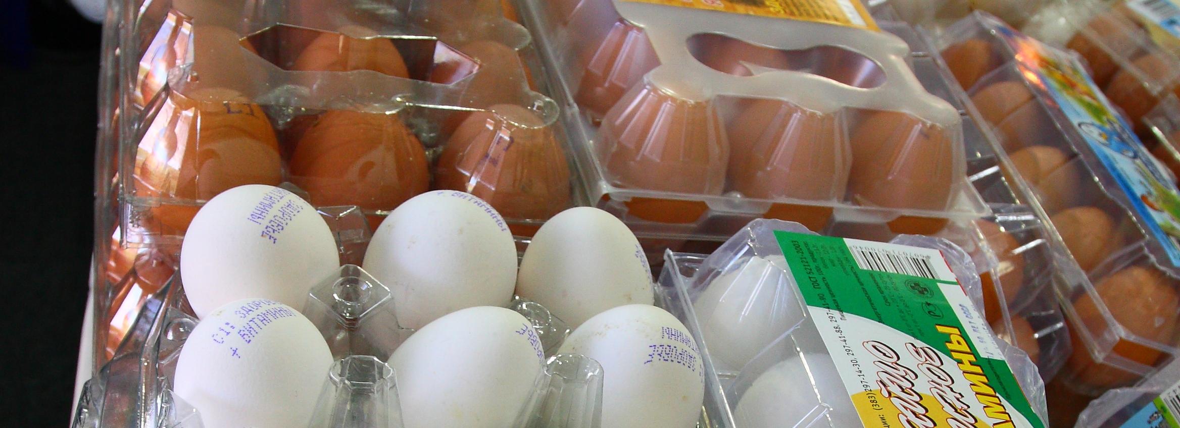 Новосибирцам рассказали, как не заразиться сальмонеллёзом