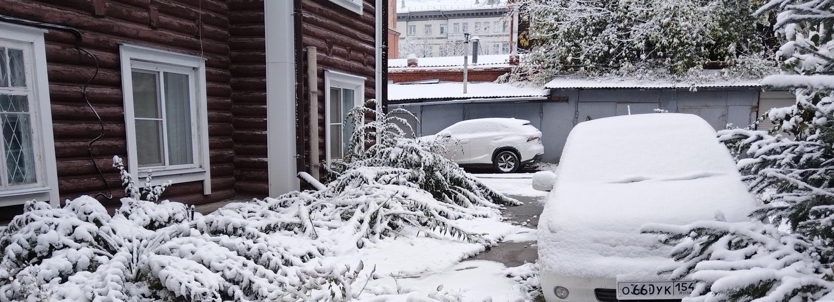Первый снежный покров лёг в Новосибирске: 10 холодных фото