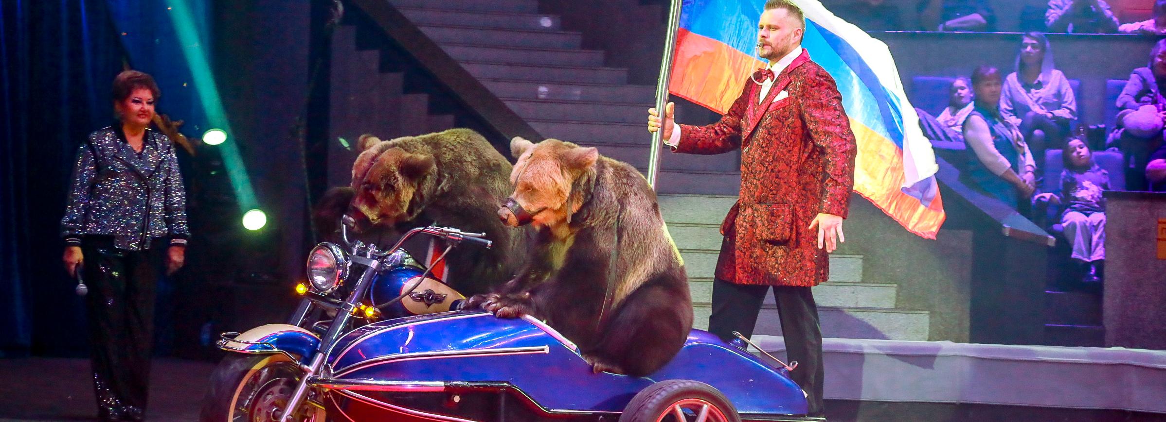 Синтез иллюзии, клоунады и дрессуры: цирк Филатовых приехал в Новосибирск