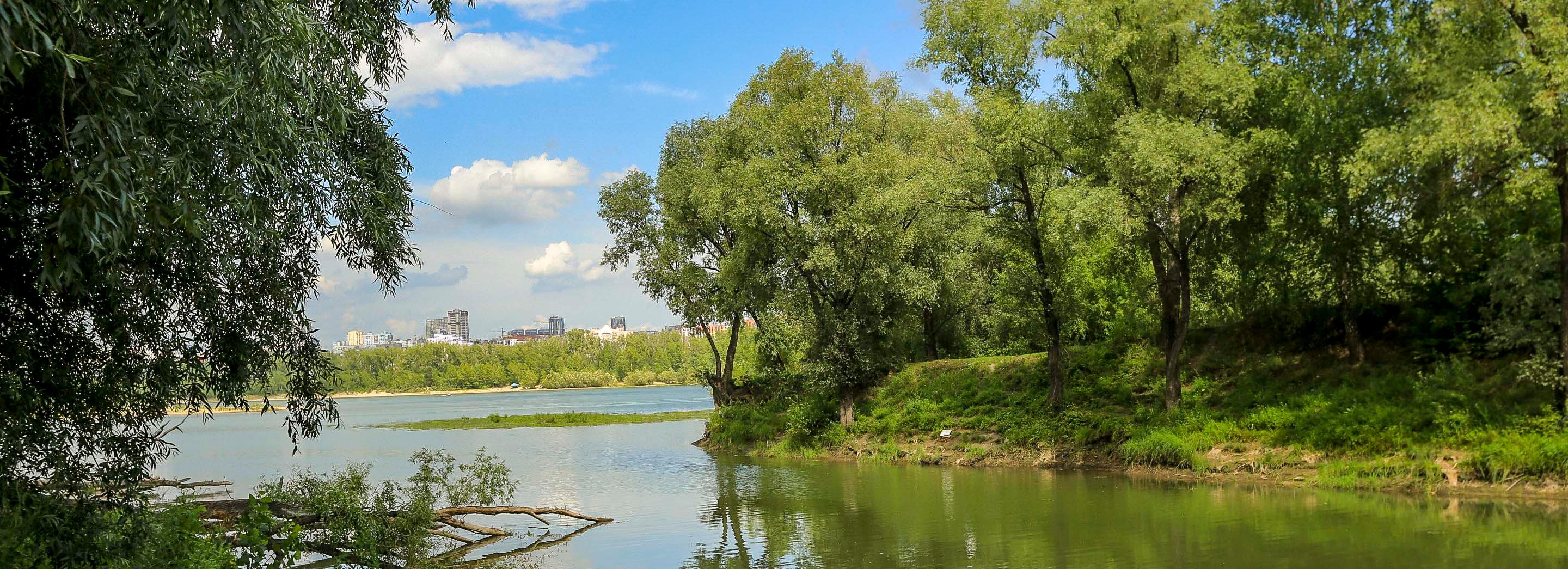 Проектно-сметная документация для «Усть-Тулы» будет готова к 2028 году