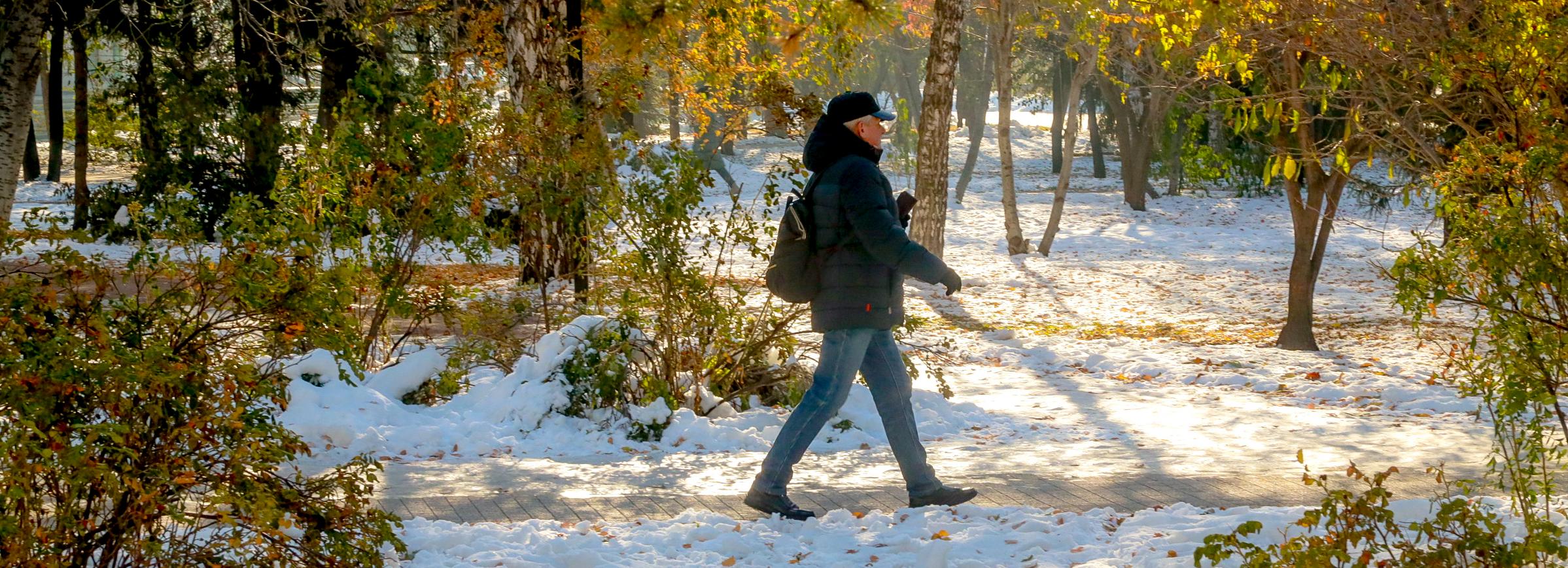 Солнечная и тёплая погода ожидает новосибирцев в выходные