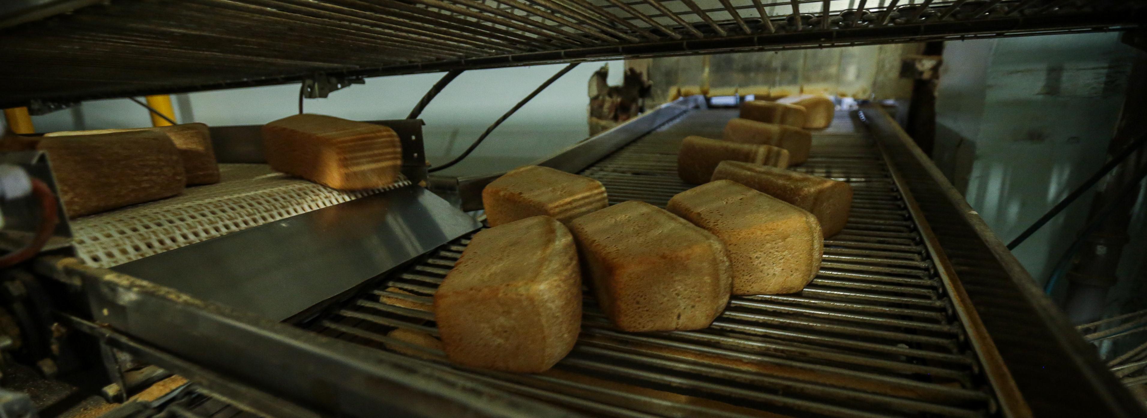 401 пробу хлеба и пряников исследовал новосибирский Роспотребнадзор