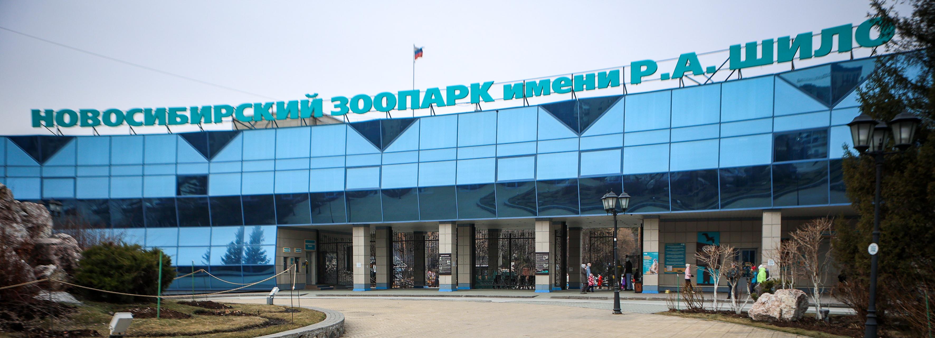 Фестиваль плова закроет декаду пожилых в Новосибирском зоопарке