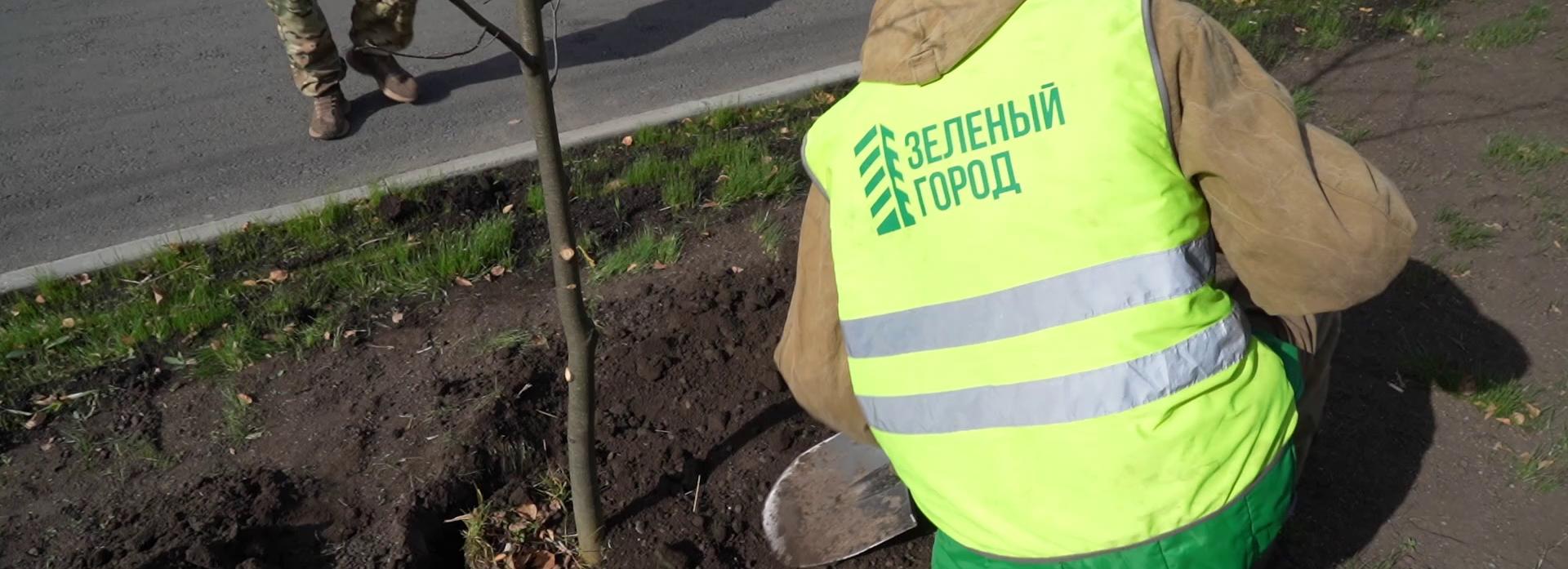 Выведенный в честь королевы пузыреплодник украсил улицу в Новосибирске