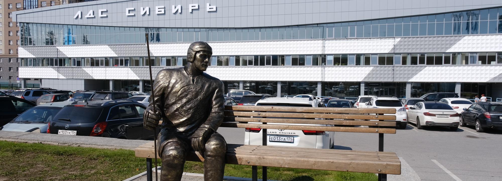 Ограду высотой 2,5 метра установят вокруг ЛДС «Сибирь» на Богдашке