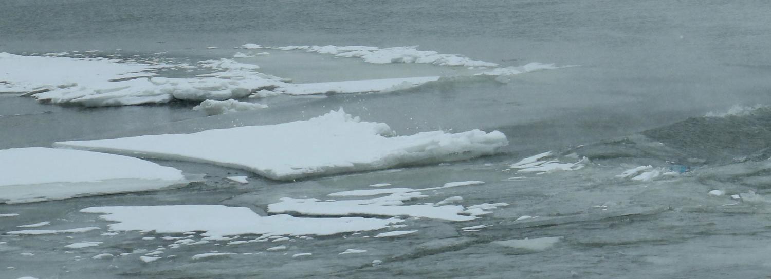 Тело утонувшего рыбака обнаружили под Новосибирском