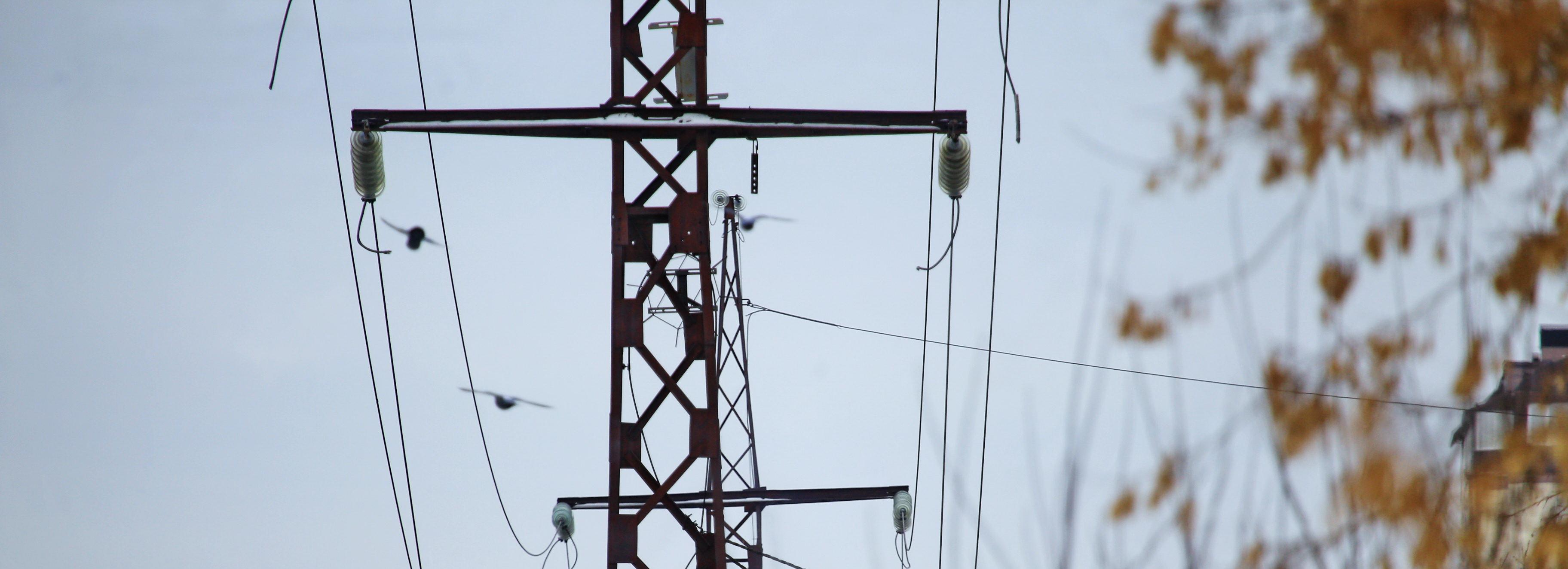 Частную пекарню нелегально подключили к электросетям в Новосибирске