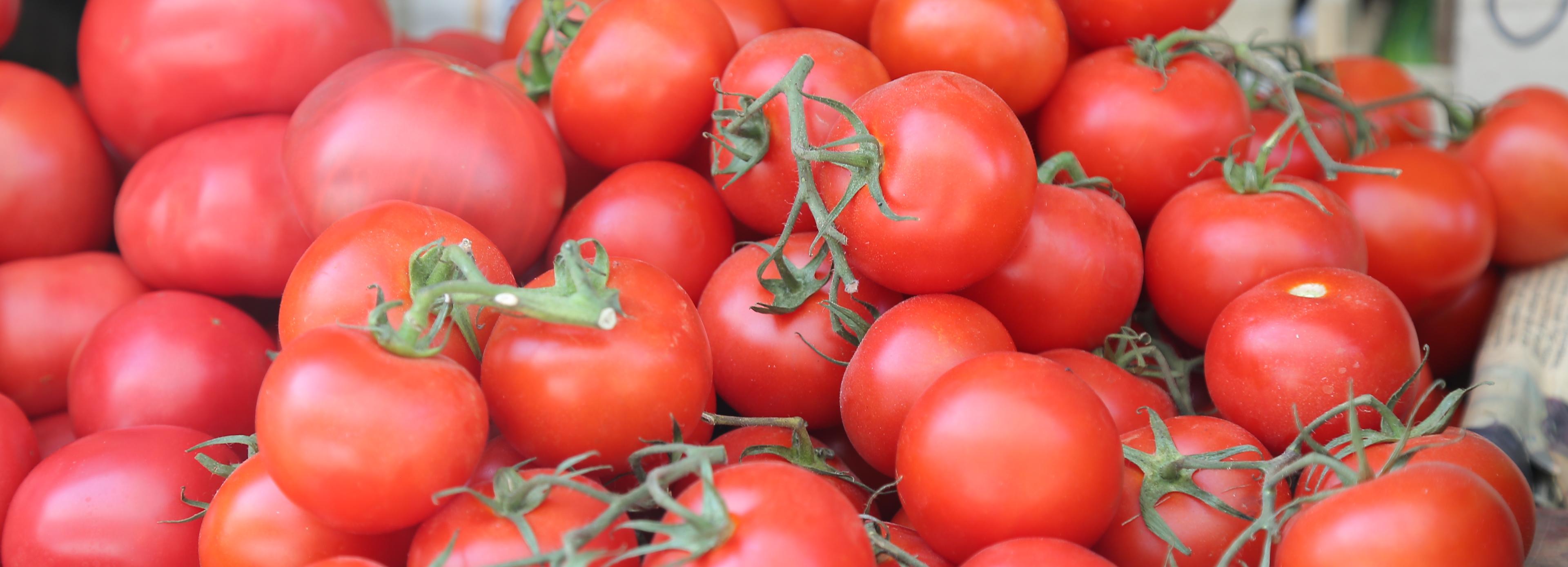 Цены на помидоры, жвачку и ингалипт подскочили в Новосибирске