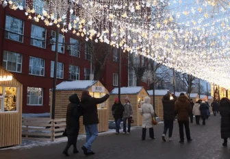 Световой потолок и сверкающие деревья появятся на улице Ленина к декабрю
