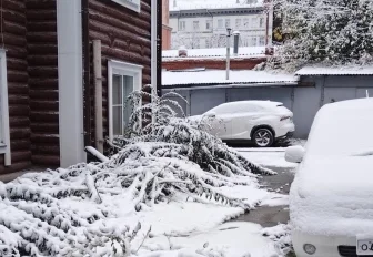 Первый снежный покров лёг в Новосибирске: 10 холодных фото