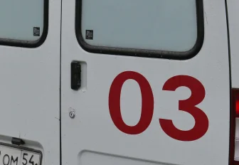 Грипп подхватили ещё четыре жителя Новосибирской области