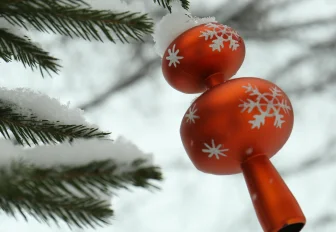 Новосибирцам предложили нарисовать ёлку 1945 года для 3D-открытки