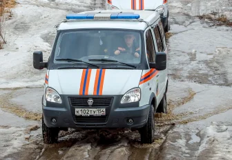 Гулявших по льду восьмерых детей спасли в Новосибирске