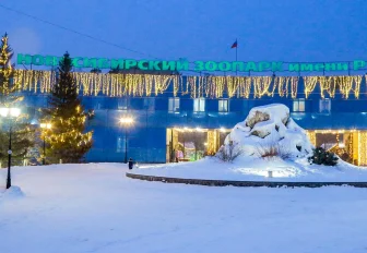 История на каждом шагу: путешествия зоопарка