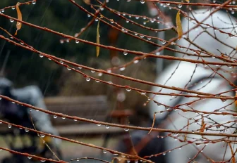 Гидрометцентр предупредил о резком ухудшении погоды в Новосибирске