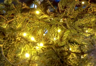 600-метровые гирлянды украсят Первомайский и Театральный скверы