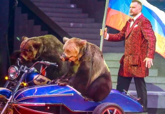 Синтез иллюзии, клоунады и дрессуры: цирк Филатовых приехал в Новосибирск