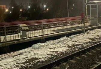 Грузовой поезд сбил сидящего на путях жителя Новосибирской области