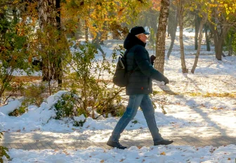 Солнечная и тёплая погода ожидает новосибирцев в выходные