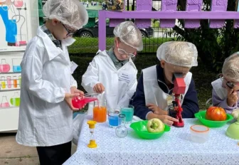 Лучший детский дворик выбрали в Новосибирске