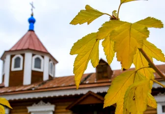 Афиша Новосибирска: куда сходить в среду, 22 октября