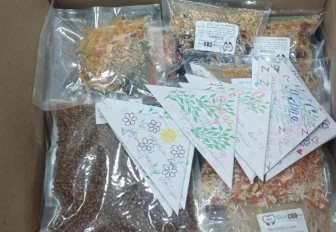 Домашней едой из пакетов кормят бойцов СВО новосибирцы