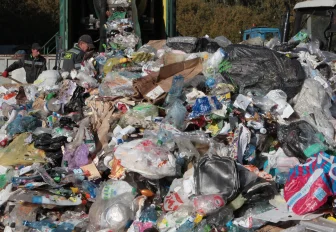 Интерактивную карту стихийных свалок запустили в Новосибирске