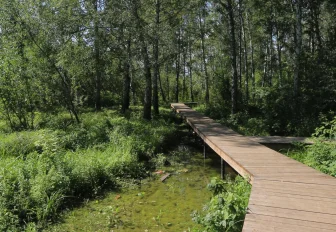 Парк «Каменка» в Новосибирске достроят к концу 2026 года