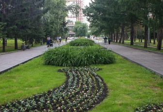 Федеральные деньги могут привлечь на благоустройство Нарымского сквера