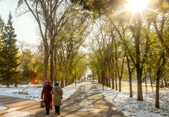 Потепление до +10 градусов ждёт новосибирцев к концу рабочей недели