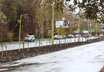 Яблони, ивы и черёмухи: 1346 деревьев и кустов украсили Советский район