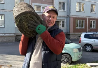 ТОСы создают мини-парк в Новосибирске после курсов ландшафтного дизайна