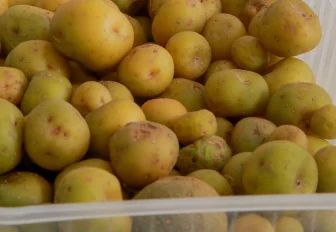 Полезные картофельные чипсы с гумусом запатентовали новосибирские учёные