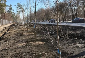 Больше 3000 деревьев и кустарников высадили в Первомайке за сезон