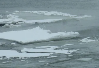 Двое детей провалились под лёд и утонули в Новосибирске (18+)