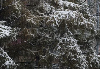 Одеваемся теплее: синоптики дали прогноз на октябрь в Новосибирске