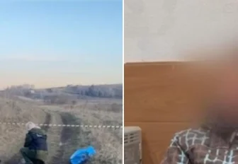 Мёртвого ребёнка с укусами нашли в сибирском поле: позиция зоозащитников (18+)