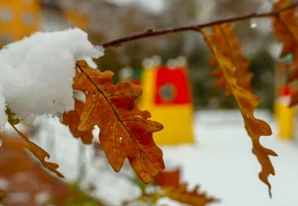 Именами прославленных новосибирцев назвали три улицы в Клюквенном